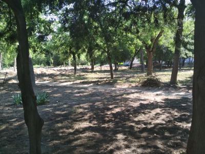 Прикрепленное изображение: 2020-07-01 09-30-47.JPG